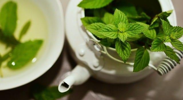 menta aromaterapia