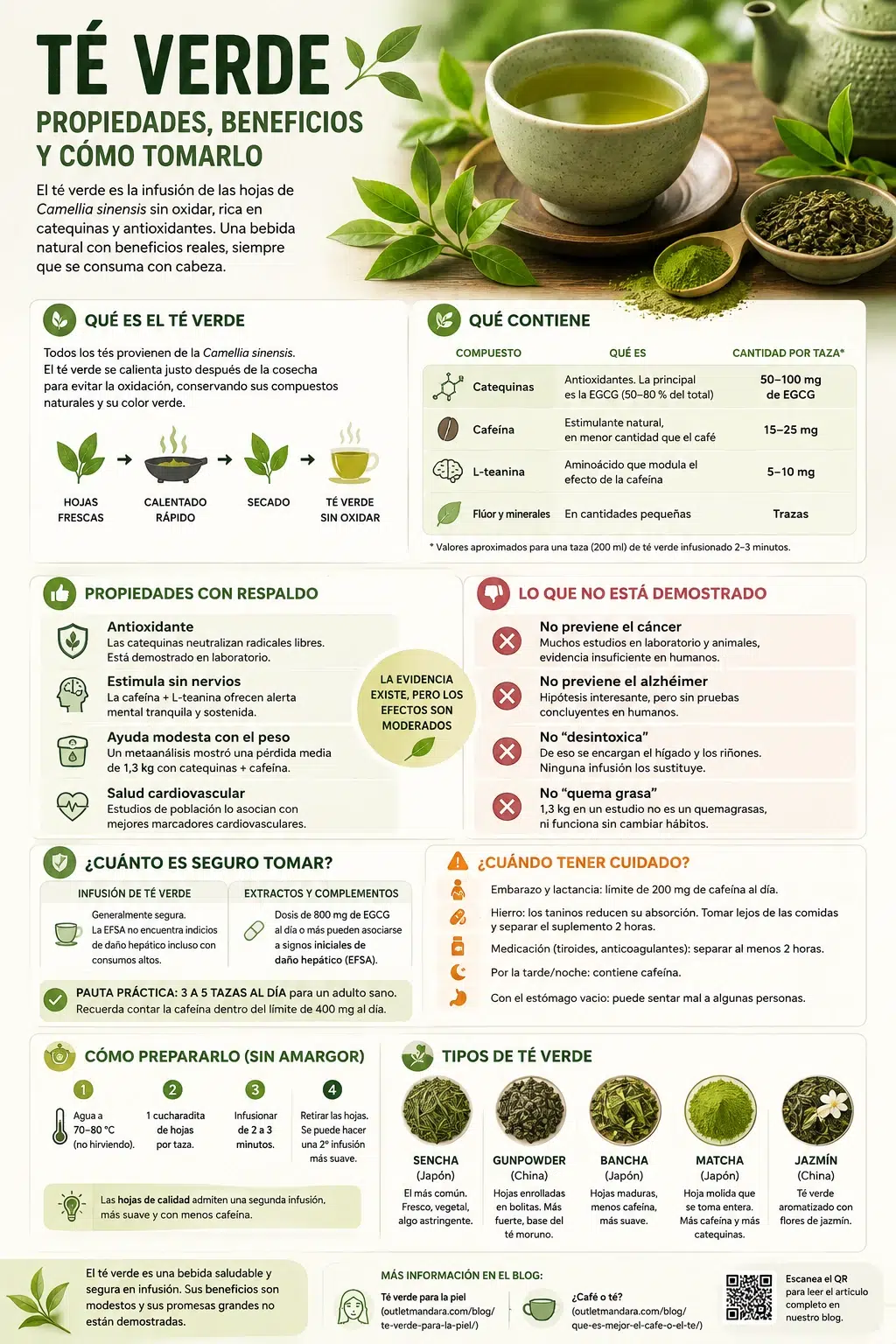Propiedades del t&eacute; verde: catequinas, cafe&iacute;na y L-teanina, beneficios con respaldo y cu&aacute;nto es seguro tomar seg&uacute;n la EFSA
