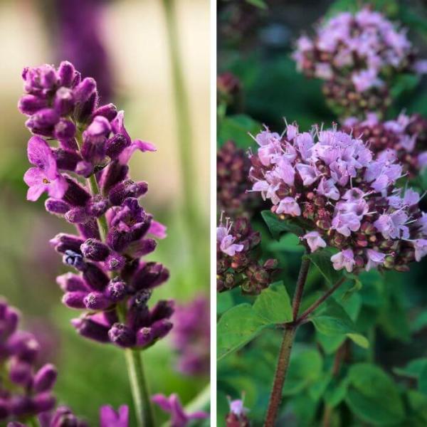 Aceite relajante lavanda y mejorana