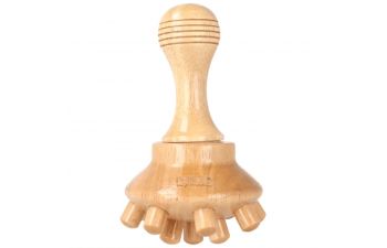 Champiñón reductor grande Pollié – Anticelulítico & drenaje