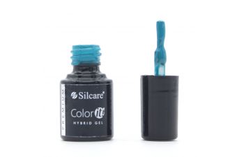 2950 SEMI PERMANENTE Color IT Premium 6g
